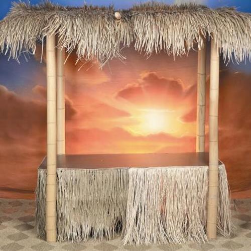 Rental store for Bar Tiki Hut 6 in Naples FL