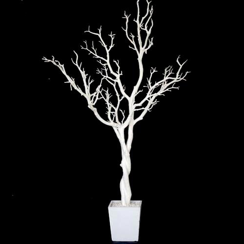Rental store for Centerpiece Tree 4  White Birch in Naples FL