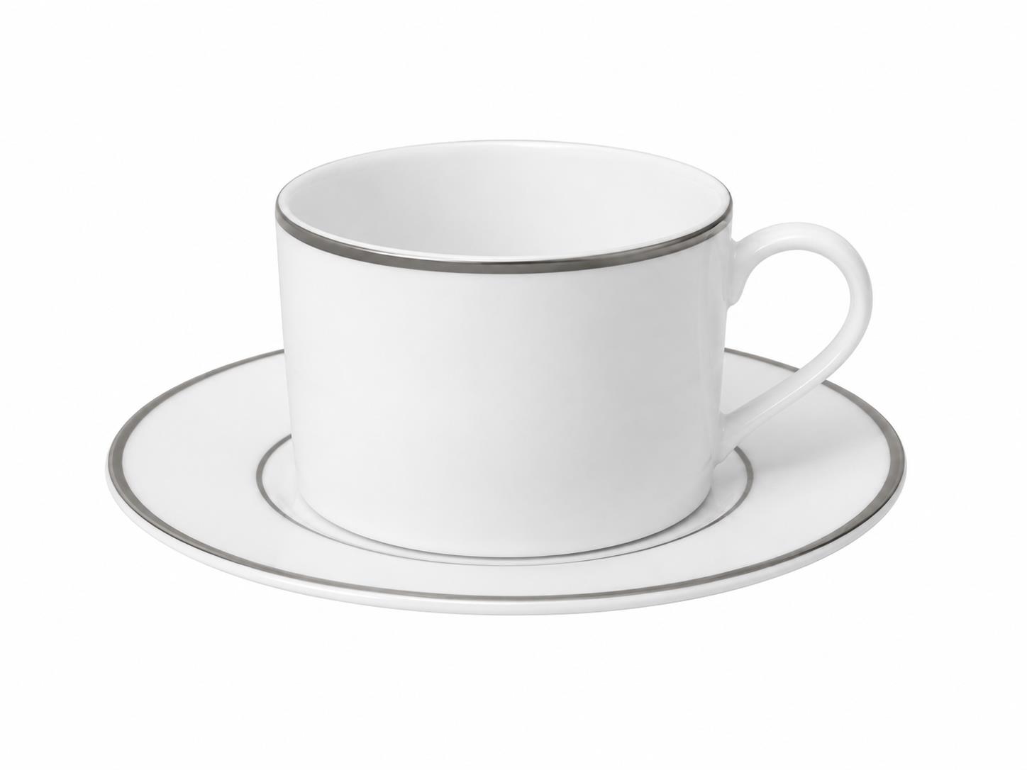 Rental store for China Silver Rim NEW Cup matte in Naples FL