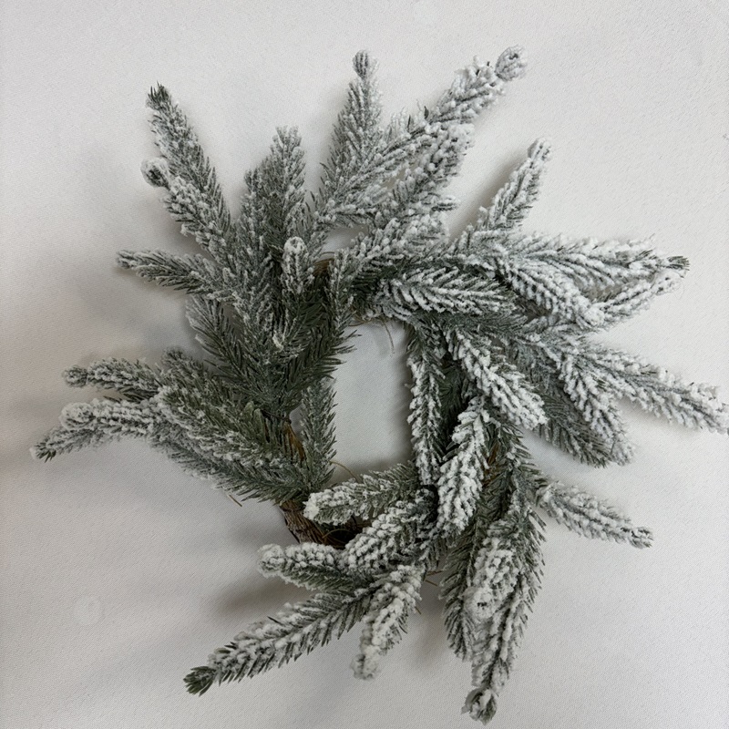 Rental store for Pine Candle Ring 8 in Naples FL