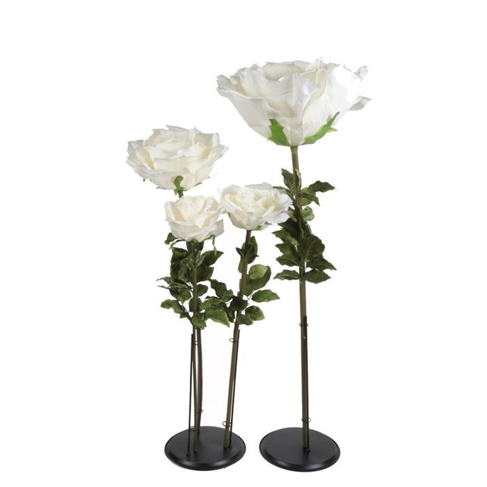 Rental store for White Bloom Flowers in Naples FL