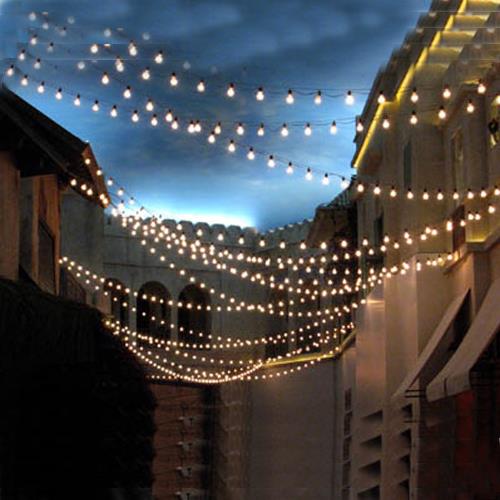 Rental store for Light String 50 plastic bulb 100  Black in Naples FL