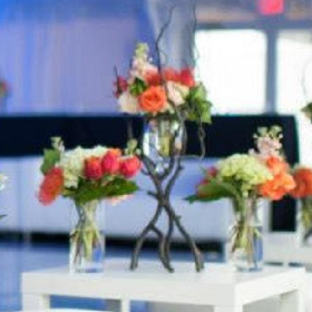 Rental store for Vase Twig 24 in Naples FL